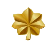 Insignia Rank